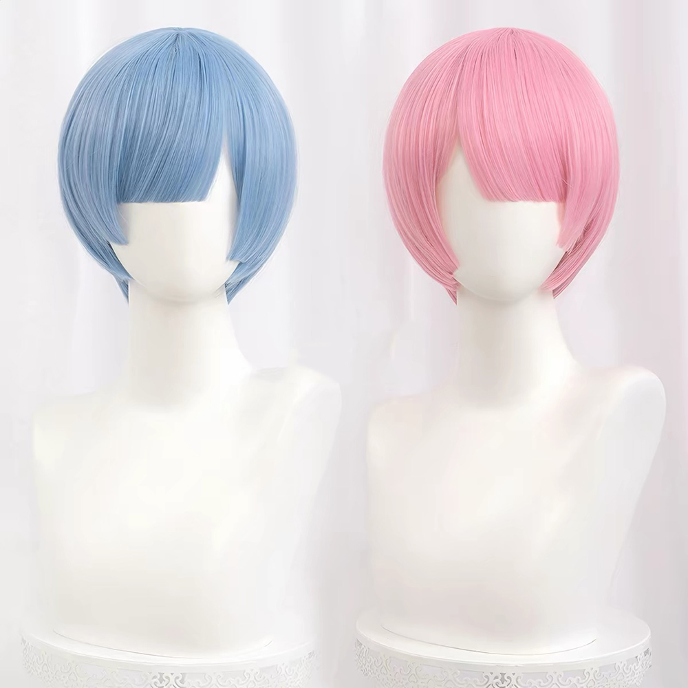 HAIRJOY Synthetic Hair Wig Re: - Re Zero Rem Wig 评论和价格