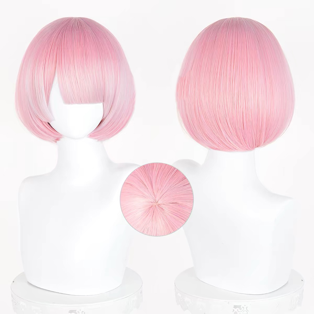 HAIRJOY Synthetic Hair Wig Re: - Re Zero Rem Wig 评论和价格